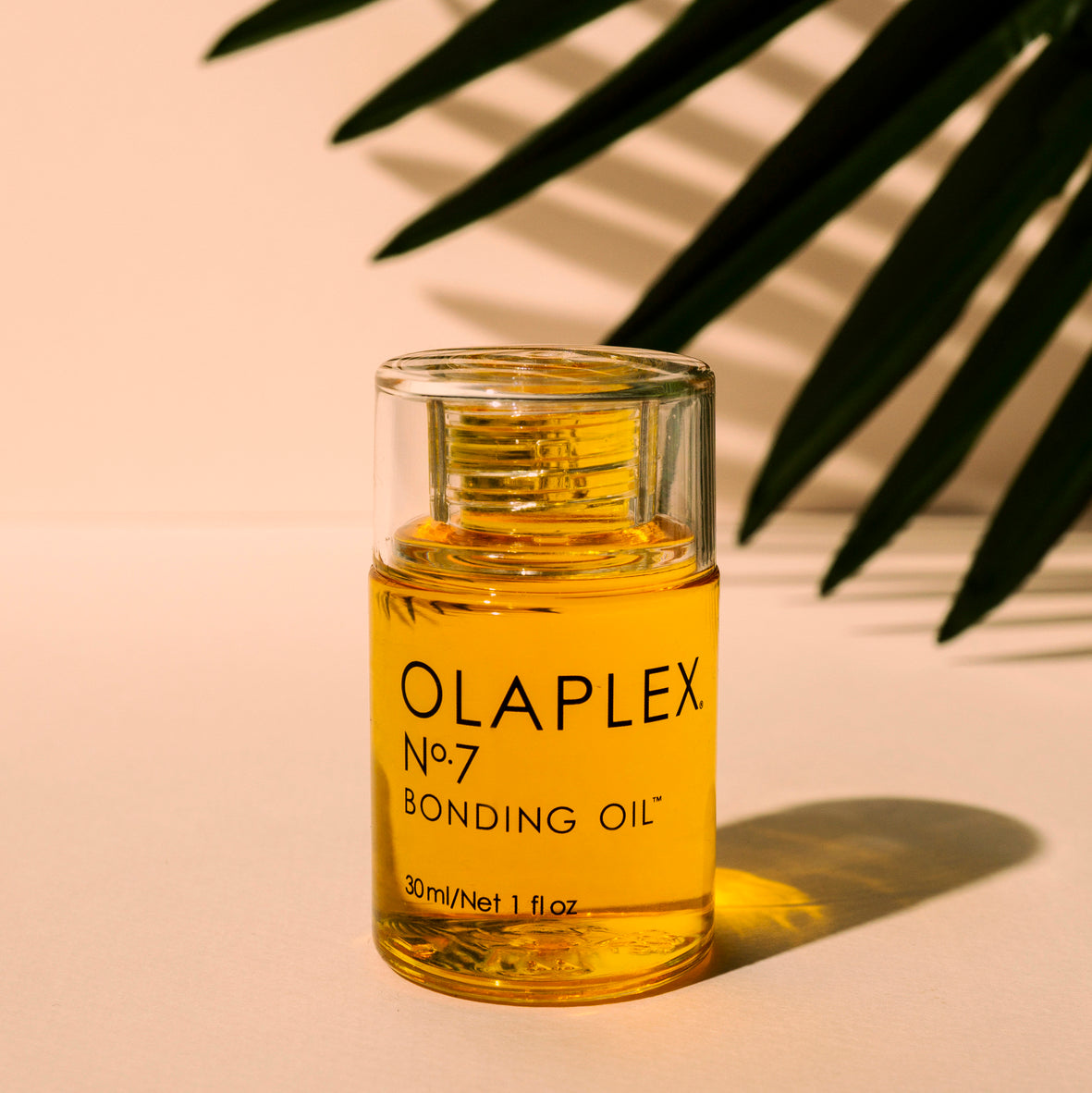 Olaplex purchases No 6 and No 7 Bonding Treatment