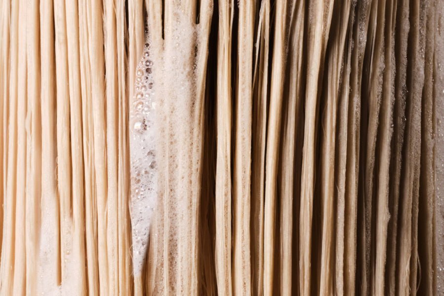 Olaplex guide to choosing a strengthening shampoo to help reduce breakage in weak hair