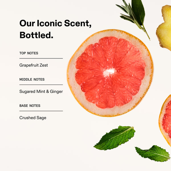 hover

Scent notes graphic featuring a sliced grapefruit, ginger, mint, and sage. Text overlay reads: "Our Iconic Scent, Bottled. Top Notes: Grapefruit Zest. Middle Notes: Sugared Mint & Ginger. Base Notes: Crushed Sage. - alternate view