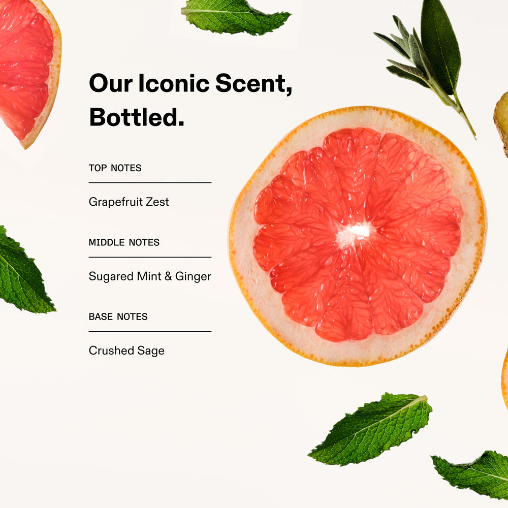 hover

Scent notes graphic featuring a sliced grapefruit, ginger, mint, and sage. Text overlay reads: "Our Iconic Scent, Bottled. Top Notes: Grapefruit Zest. Middle Notes: Sugared Mint & Ginger. Base Notes: Crushed Sage. - alternate view
